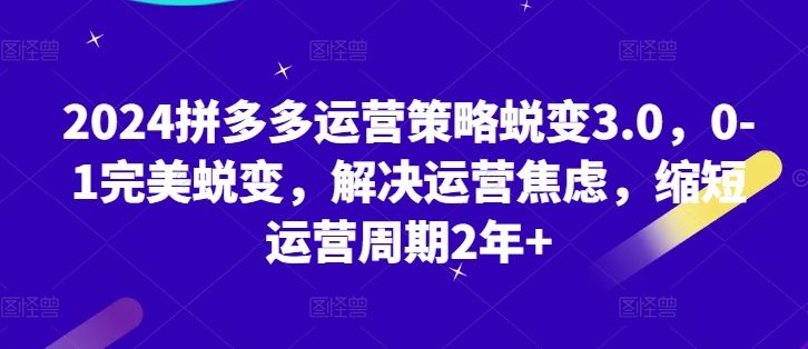 2024拼多多运营策略蜕变3.0，0-1完美蜕变，解决运营焦虑，缩短运营周期2年+-网创空间