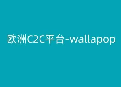 欧洲C2C平台-wallapop-kim跨境电商教程-网创空间