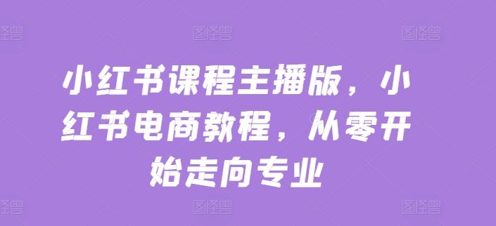 小红书课程主播版，小红书电商教程，从零开始走向专业-网创空间