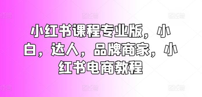 小红书课程专业版，小白，达人，品牌商家，小红书电商教程-网创空间