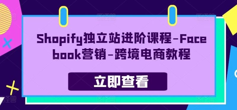 Shopify独立站进阶课程-Facebook营销-跨境电商教程-网创空间