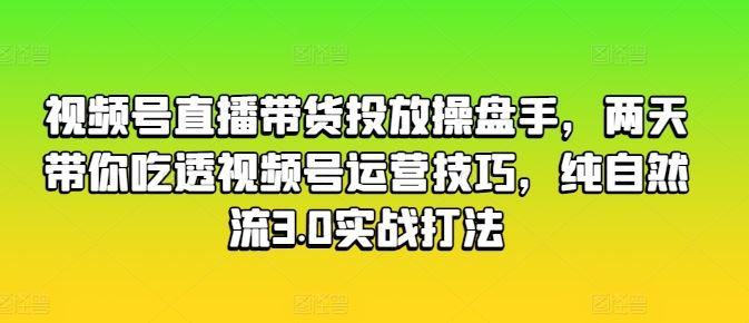 视频号直播带货投放操盘手，两天带你吃透视频号运营技巧，纯自然流3.0实战打法-网创空间
