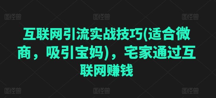 互联网引流实战技巧(适合微商，吸引宝妈)，宅家通过互联网赚钱-网创空间