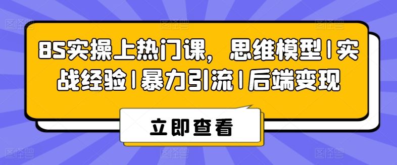 8S实操上热门课，思维模型|实战经验|暴力引流|后端变现-网创空间