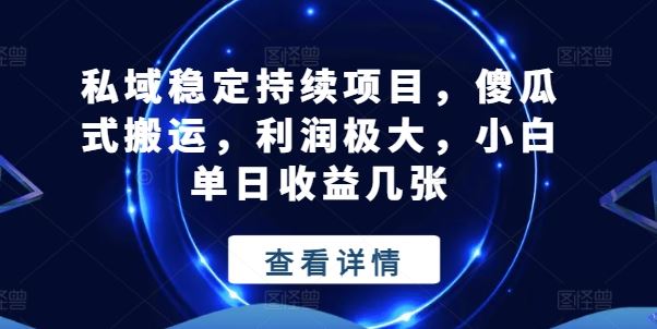 私域稳定持续项目，傻瓜式搬运，利润极大，小白单日收益几张【揭秘】-网创空间