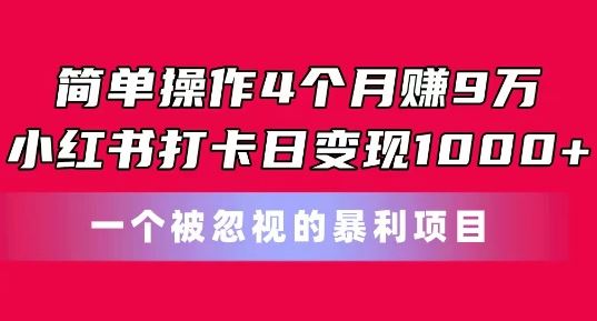 简单操作4个月赚9w，小红书打卡日变现1k，一个被忽视的暴力项目【揭秘】-网创空间