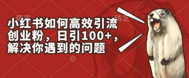 小红书如何高效引流创业粉，日引100+，解决你遇到的问题【揭秘】-网创空间