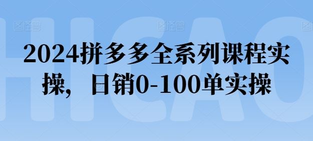 2024拼多多全系列课程实操，日销0-100单实操【必看】-网创空间
