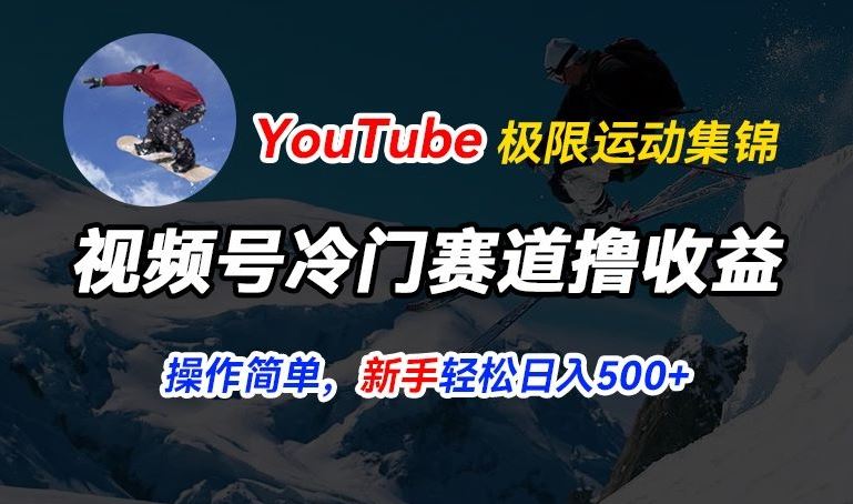 视频号冷门赛道撸收益，YouTube搬运极限运动集锦，暴力起号，操作简单流量高，轻松日入5张【揭秘】-网创空间