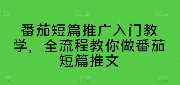番茄短篇推广入门教学，全流程教你做番茄短篇推文-网创空间