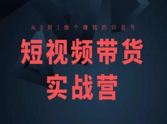 短视频带货实战营(高阶课)，从0到1做个赚钱的抖音号-网创空间