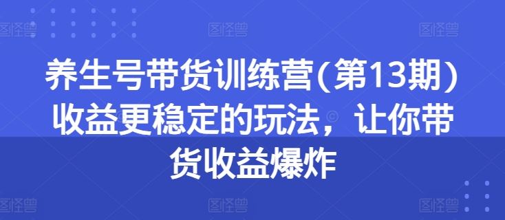 养生号带货训练营(第13期)收益更稳定的玩法，让你带货收益爆炸-网创空间