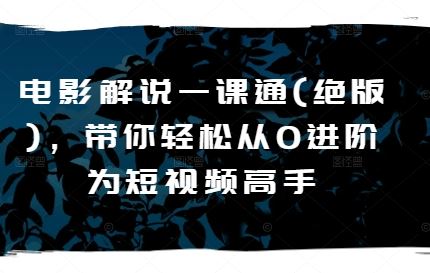 电影解说一课通(绝版)，带你轻松从0进阶为短视频高手-网创空间