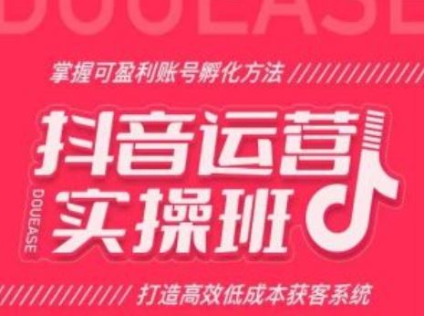 抖音运营实操班，掌握可盈利账号孵化方法，打造高效低成本获客系统-网创空间