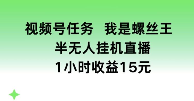 视频号任务，我是螺丝王， 半无人挂机1小时收益15元【揭秘】-网创空间