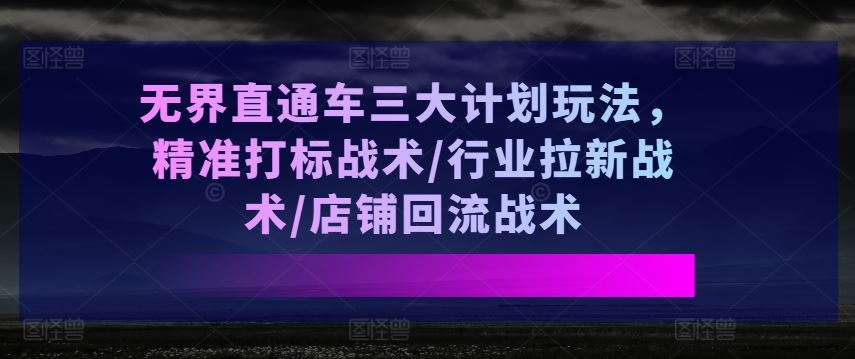 无界直通车三大计划玩法，精准打标战术/行业拉新战术/店铺回流战术-网创空间