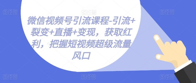 微信视频号引流课程-引流+裂变+直播+变现，获取红利，把握短视频超级流量风口-网创空间