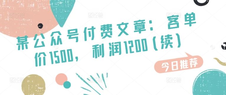 某公众号付费文章：客单价1500，利润1200(续)，市场几乎可以说是空白的-网创空间