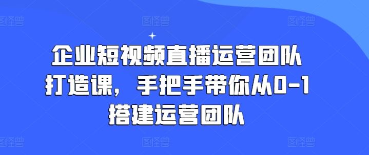 企业短视频直播运营团队打造课，手把手带你从0-1搭建运营团队-网创空间