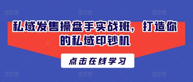 私域发售操盘手实战班，打造你的私域印钞机-网创空间