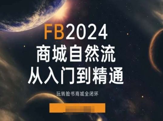 2024Faceboo商城自然流(从入门到精通)，玩转脸书商城全闭环-网创空间