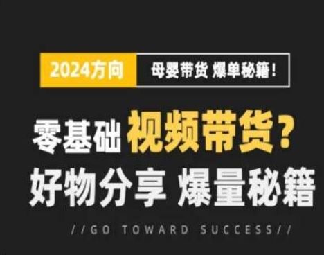 短视频母婴赛道实操流量训练营，零基础视频带货，好物分享，爆量秘籍-网创空间