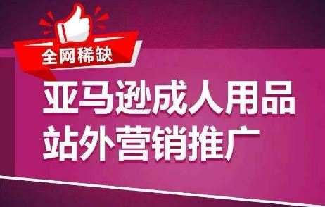 全网稀缺！亚马逊成人用品站外营销推广，​教你引爆站外流量，开启爆单模式-网创空间
