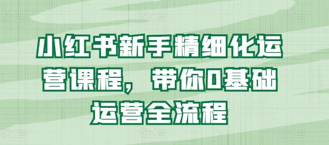 小红书新手精细化运营课程，带你0基础运营全流程-网创空间