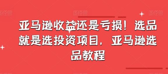 亚马逊收益还是亏损！选品就是选投资项目，亚马逊选品教程-网创空间