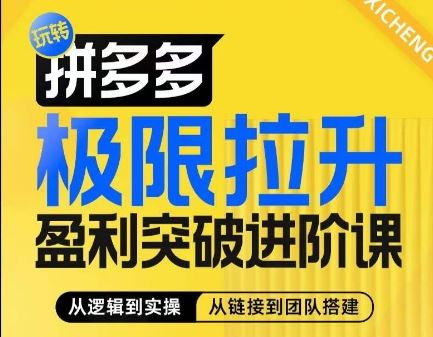 拼多多极限拉升盈利突破进阶课，​从算法到玩法，从玩法到团队搭建，体系化系统性帮助商家实现利润提升-网创空间