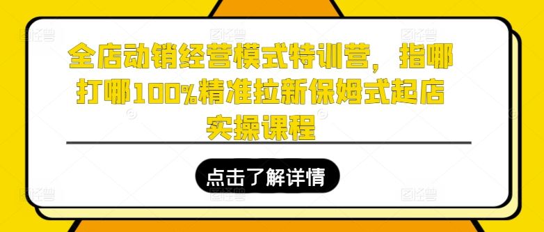 全店动销经营模式特训营，指哪打哪100%精准拉新保姆式起店实操课程-网创空间