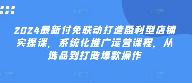 2024最新付免联动打造盈利型店铺实操课，​系统化推广运营课程，从选品到打造爆款操作-网创空间