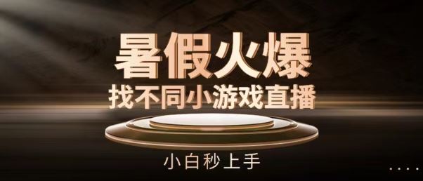 暑假火爆找不同小游戏直播间，小白秒上手【揭秘】-网创空间