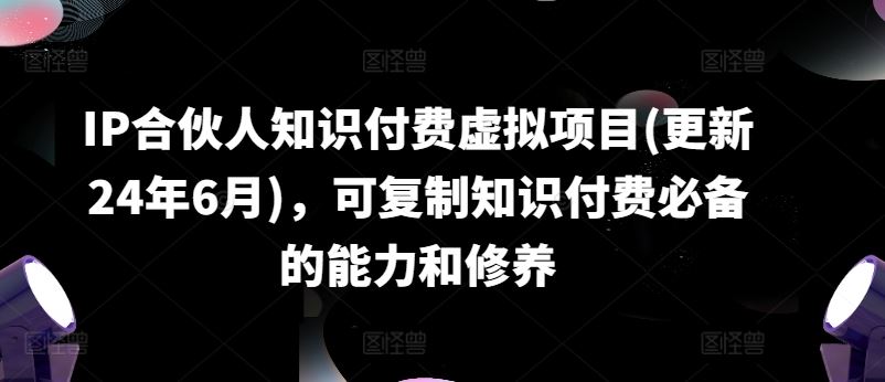 IP合伙人知识付费虚拟项目(更新24年6月)，可复制知识付费必备的能力和修养-网创空间