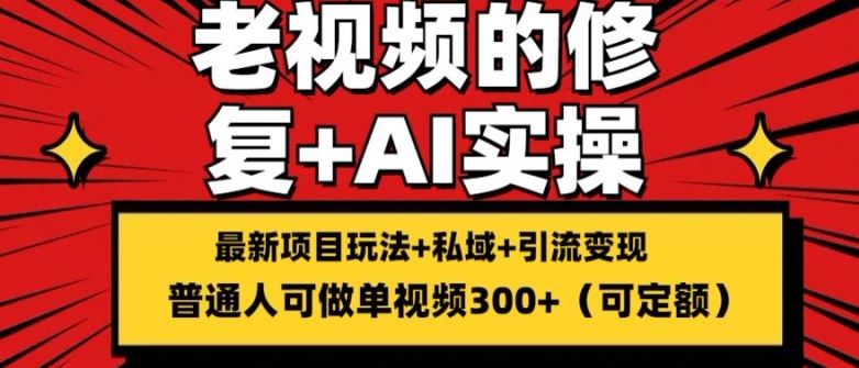 修复老视频的玩法，搬砖+引流的变现(可持久)，单条收益300+【揭秘】-网创空间