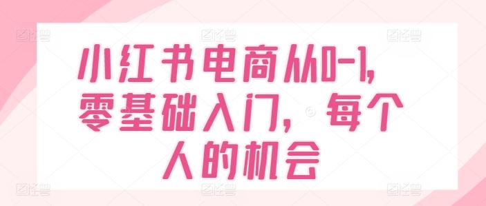 小红书电商从0-1，零基础入门，每个人的机会-网创空间