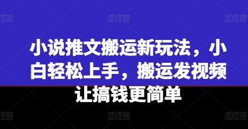 小说推文搬运新玩法，小白轻松上手，搬运发视频让搞钱更简单-网创空间