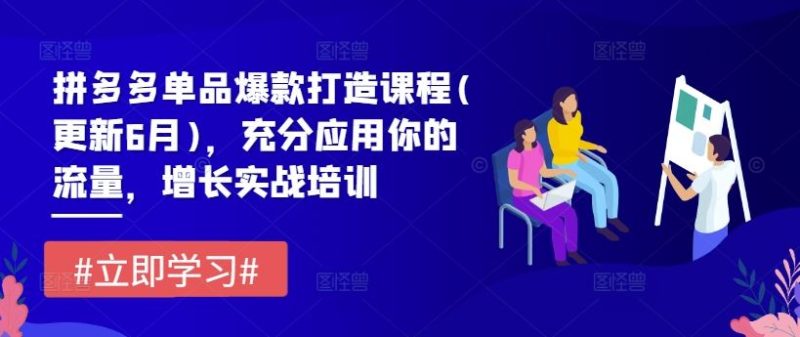 拼多多单品爆款打造课程(更新6月)，充分应用你的流量，增长实战培训-网创空间