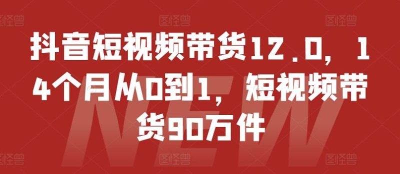 抖音短视频带货12.0，14个月从0到1，短视频带货90万件-网创空间