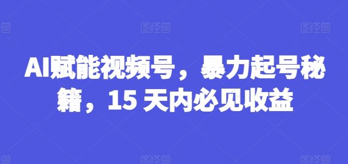 AI赋能视频号，暴力起号秘籍，15 天内必见收益【揭秘】-网创空间