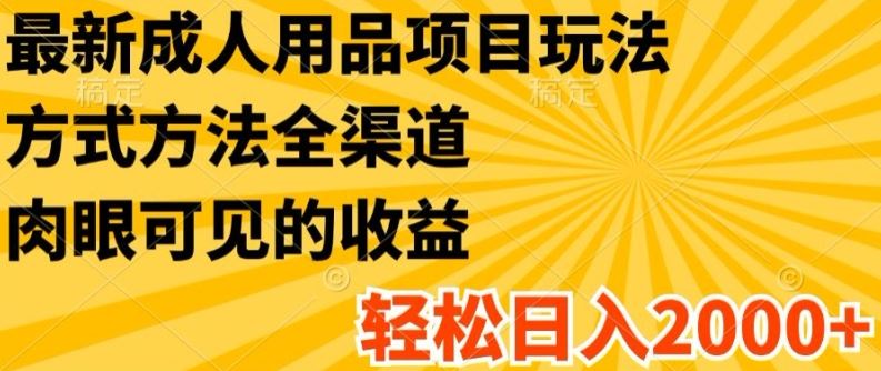 最新成人用品项目玩法，方式方法全渠道，轻松日入2K+【揭秘】-网创空间