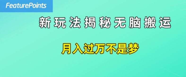 简单操作，每天50美元收入，搬运就是赚钱的秘诀【揭秘】-网创空间