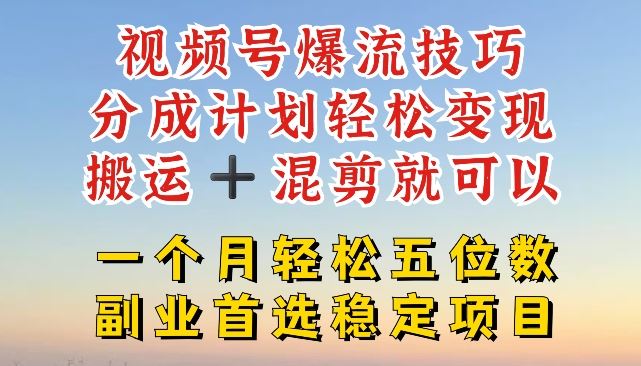 视频号爆流技巧，分成计划轻松变现，搬运 +混剪就可以，一个月轻松五位数稳定项目【揭秘】-网创空间