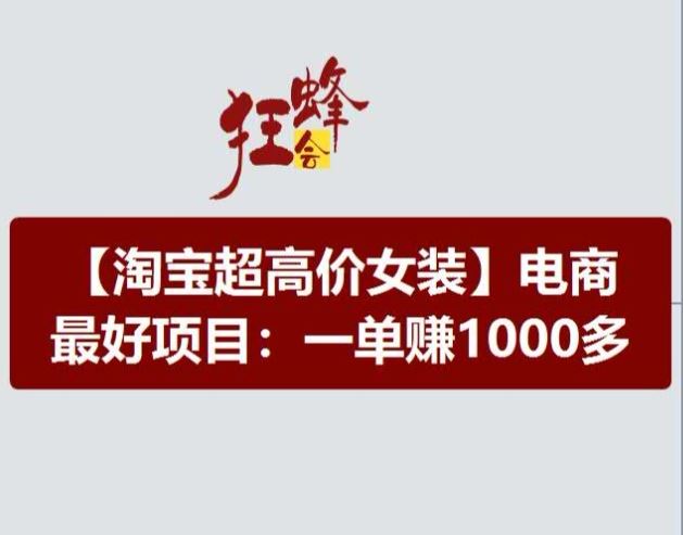淘宝超高价女装项目，电商最好赛道，一单赚1000多-网创空间