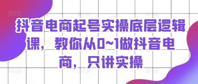 抖音电商起号实操底层逻辑课，教你从0~1做抖音电商，只讲实操-网创空间