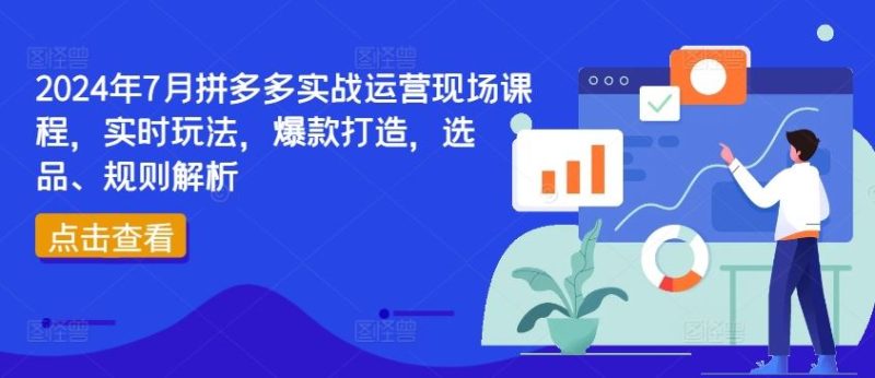 2024年7月拼多多实战运营现场课程，实时玩法，爆款打造，选品、规则解析-网创空间