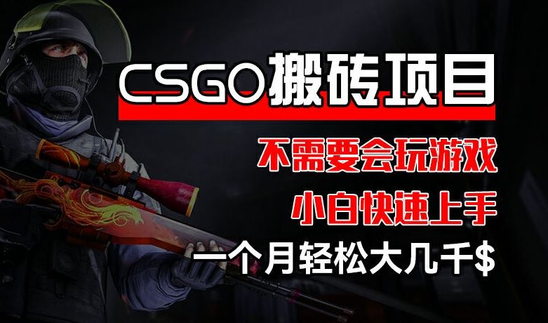 CSGO 装备搬砖项目，操作简单，不需要会玩游戏，小白也能快速上手，一个月轻松大几千【揭秘】-网创空间
