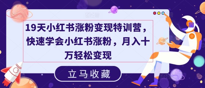 19天小红书涨粉变现特训营，快速学会小红书涨粉，月入十万轻松变现-网创空间