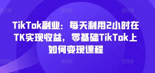 TikTok副业：每天利用2小时在TK实现收益，零基础TikTok上如何变现课程-网创空间