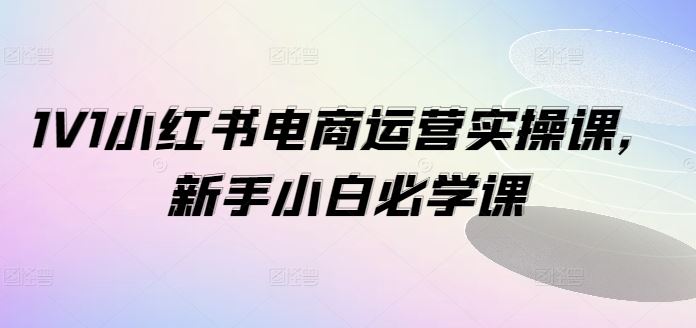 1V1小红书电商运营实操课，新手小白必学课-网创空间